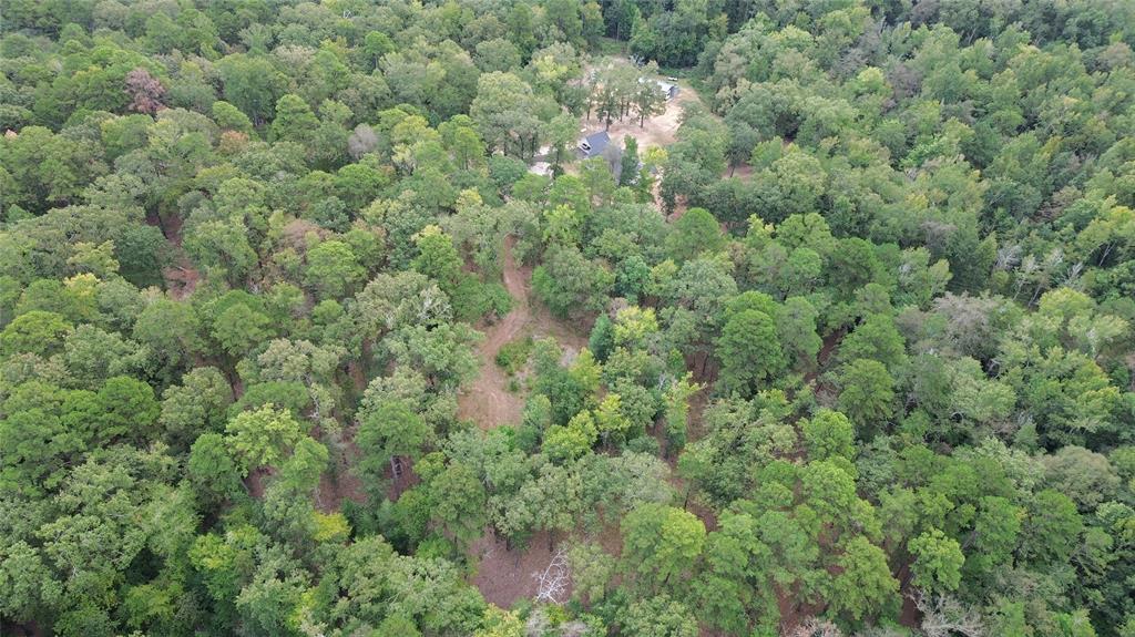 1688 County Road 1597 - Photo 25