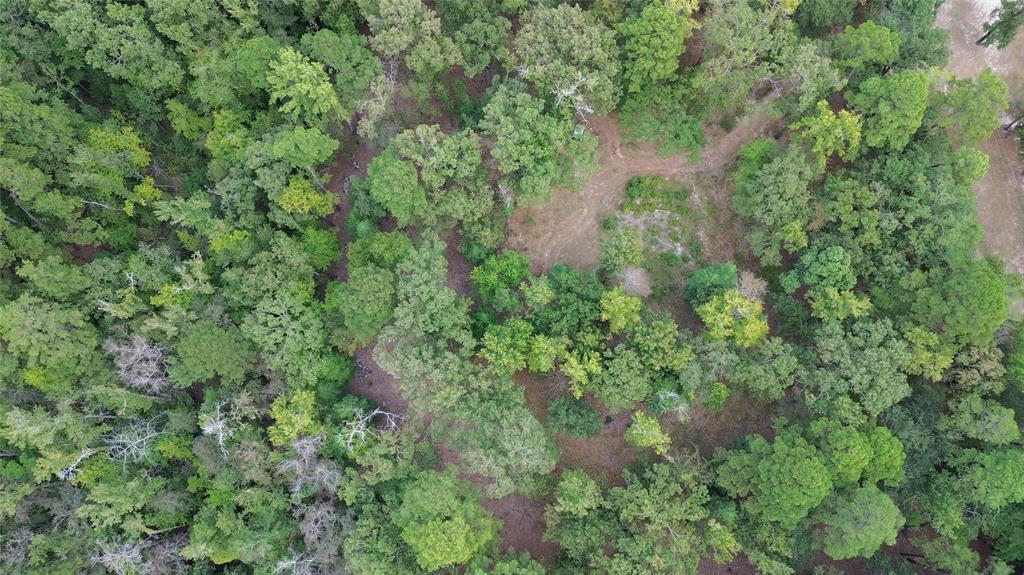 1688 County Road 1597 - Photo 26