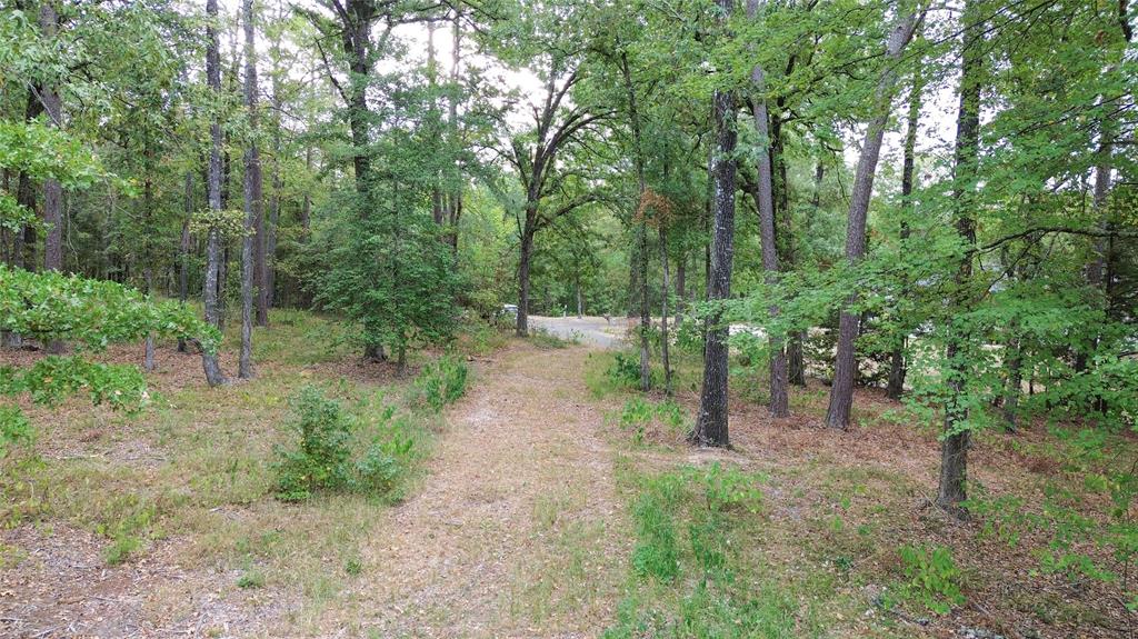 1688 County Road 1597 - Photo 27