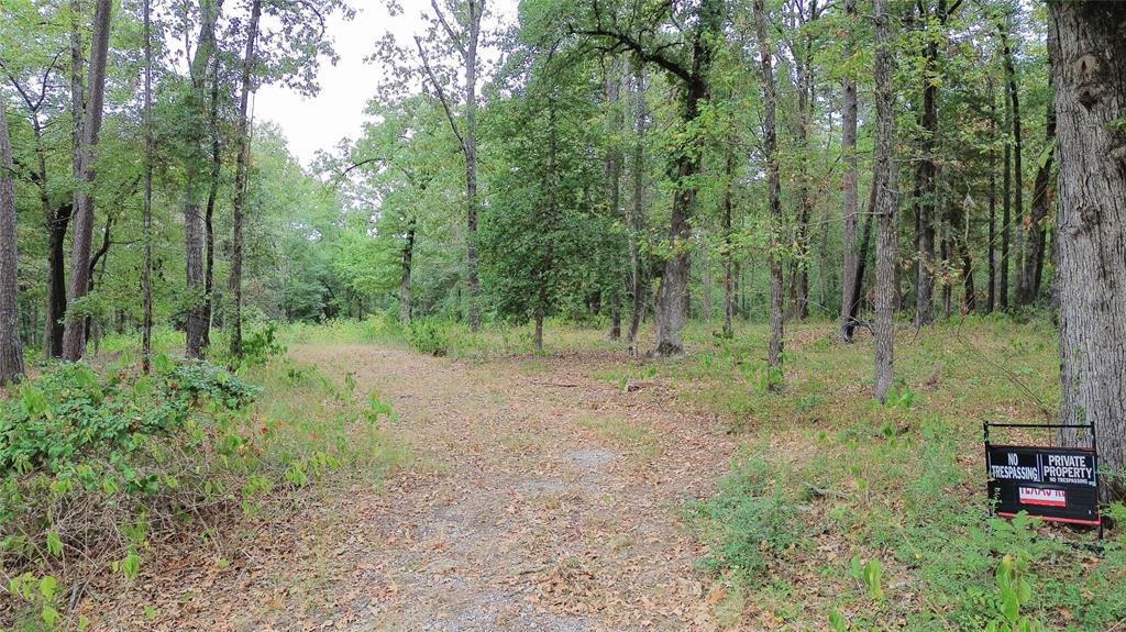 1688 County Road 1597 - Photo 3