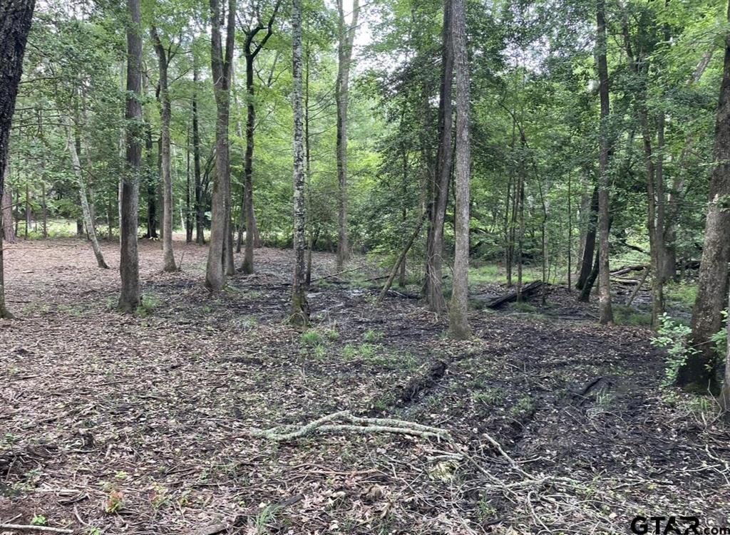 1688 County Road 1597 - Photo 4