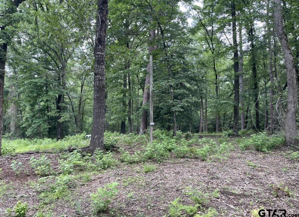 1688 County Road 1597 - Photo 5