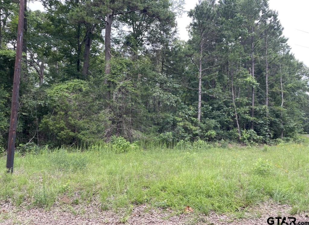 1688 County Road 1597 - Photo 6
