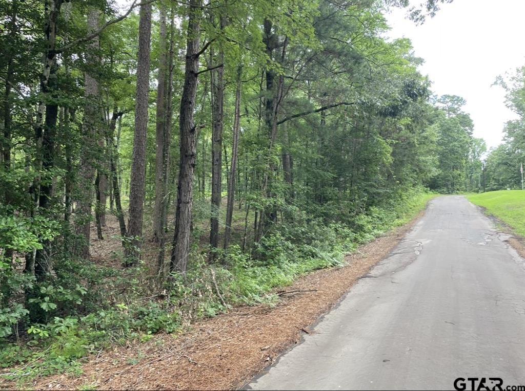 1688 County Road 1597 - Photo 7