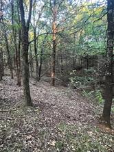 000 Gilbreath Road - Photo 5