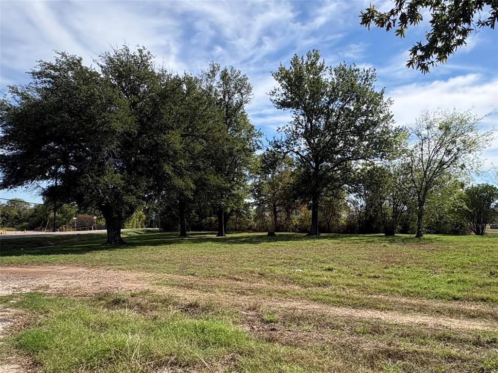 221 Maple Street - Photo 11