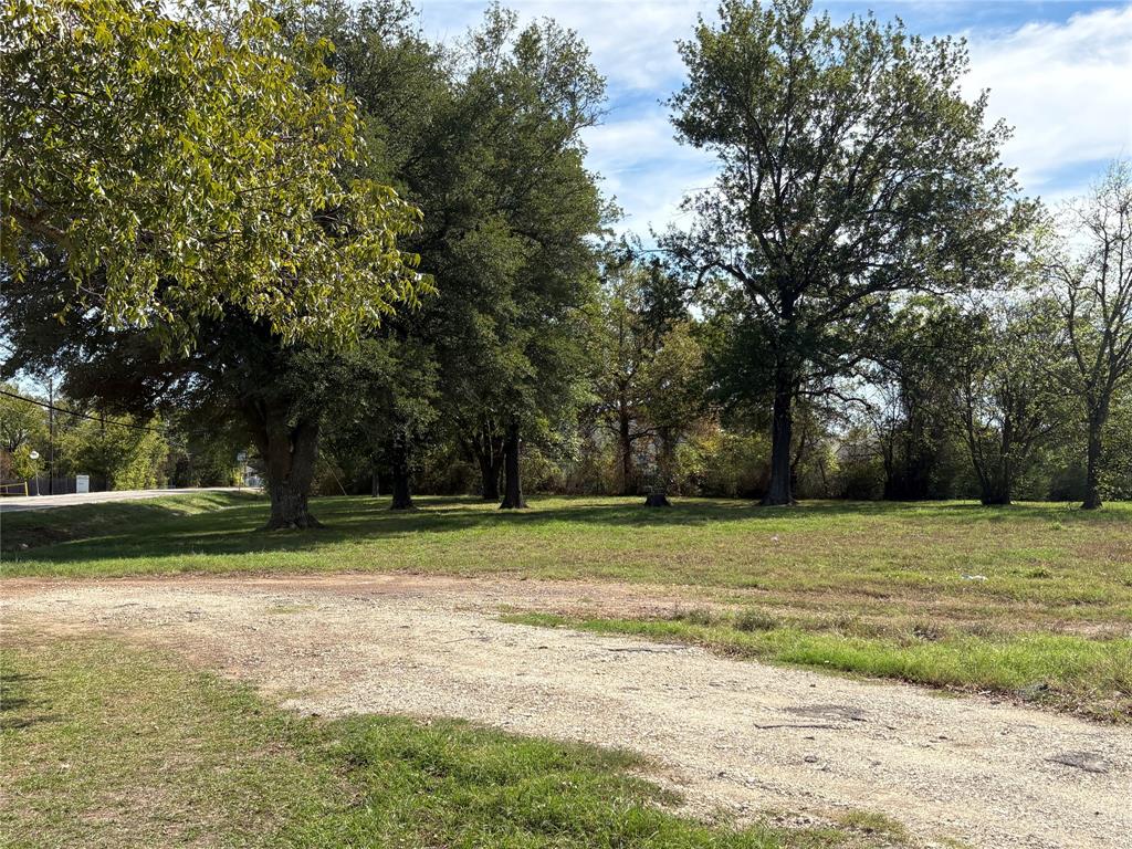 221 Maple Street - Photo 13