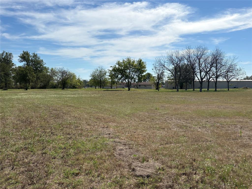 221 Maple Street - Photo 3