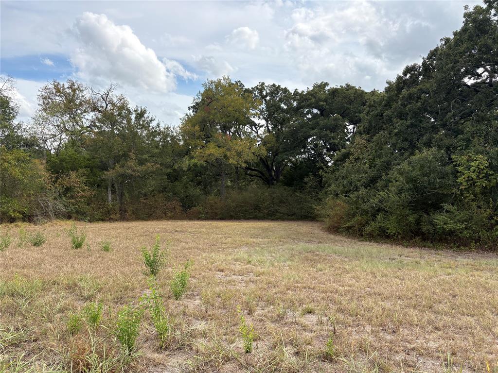 .62 ac Sycamore Street - Photo 1
