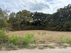 .62 ac Sycamore Street - Photo 2