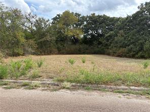 .62 ac Sycamore Street - Photo 3