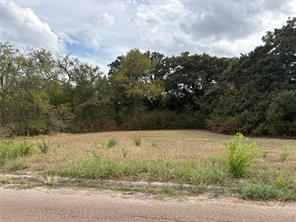 .62 ac Sycamore Street - Photo 5