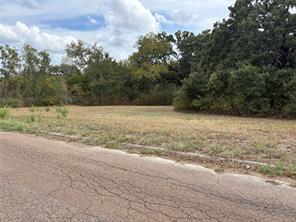 .62 ac Sycamore Street - Photo 6