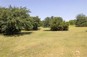 (10 Acres) Shadow Trail - Photo 10