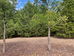 TBD County Road 670 - Photo 2