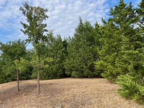 TBD County Road 670 - Photo 3