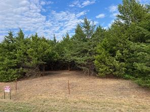 TBD County Road 670 - Photo 4