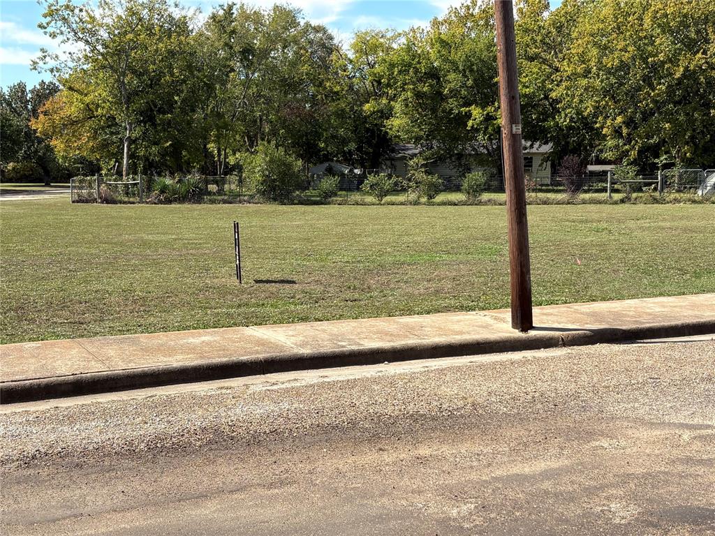 .30 lot Washington Street - Photo 6