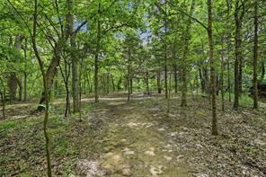 3958 Ranch. Road - Photo 4