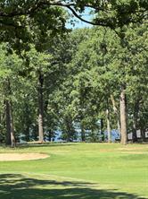 129 Pinnacle Club Drive - Photo 12