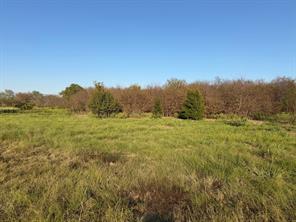 0 AA Bumgarner Road - Photo 3