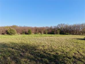0 AA Bumgarner Road - Photo 6