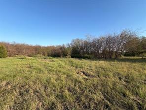 0 AA Bumgarner Road - Photo 8