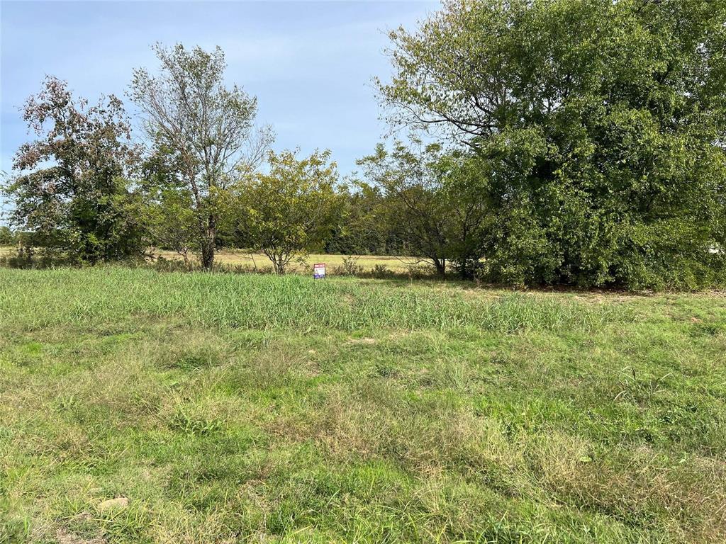 00 S Hwy 271 - Photo 1