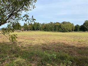 00 S Hwy 271 - Photo 2
