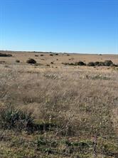 TBD Adobe Hill Drive - Photo 4
