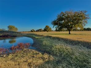 14114 Howard Lake Court - Photo 40