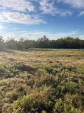 TBD Gilbreath Road - Photo 4