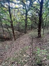 TBD Gilbreath Road - Photo 6