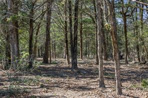 4.81 AC Pauline Lane - Photo 2