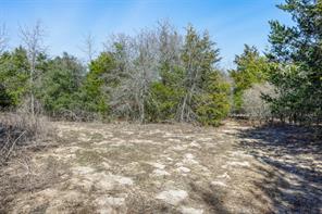 4.81 AC Pauline Lane - Photo 4