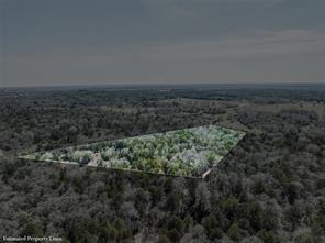 4.81 AC Pauline Lane - Photo 7