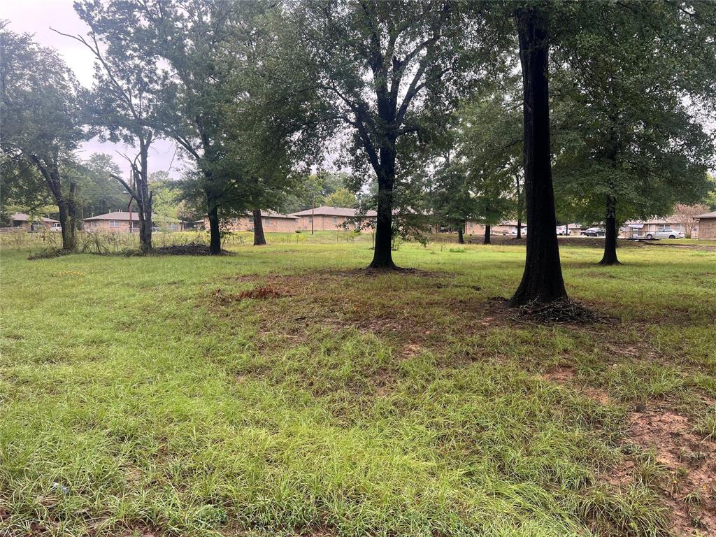 654 FIelder - Photo 1