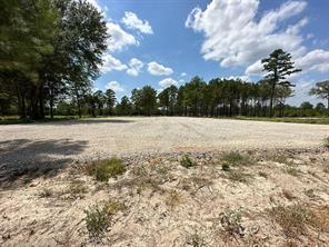 14392 E Hwy 31 E - Photo 2