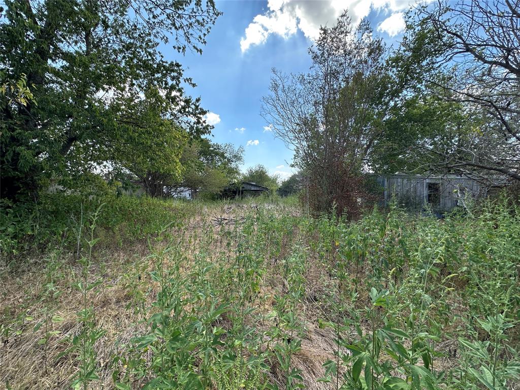 1194 County Road 151a - Photo 2
