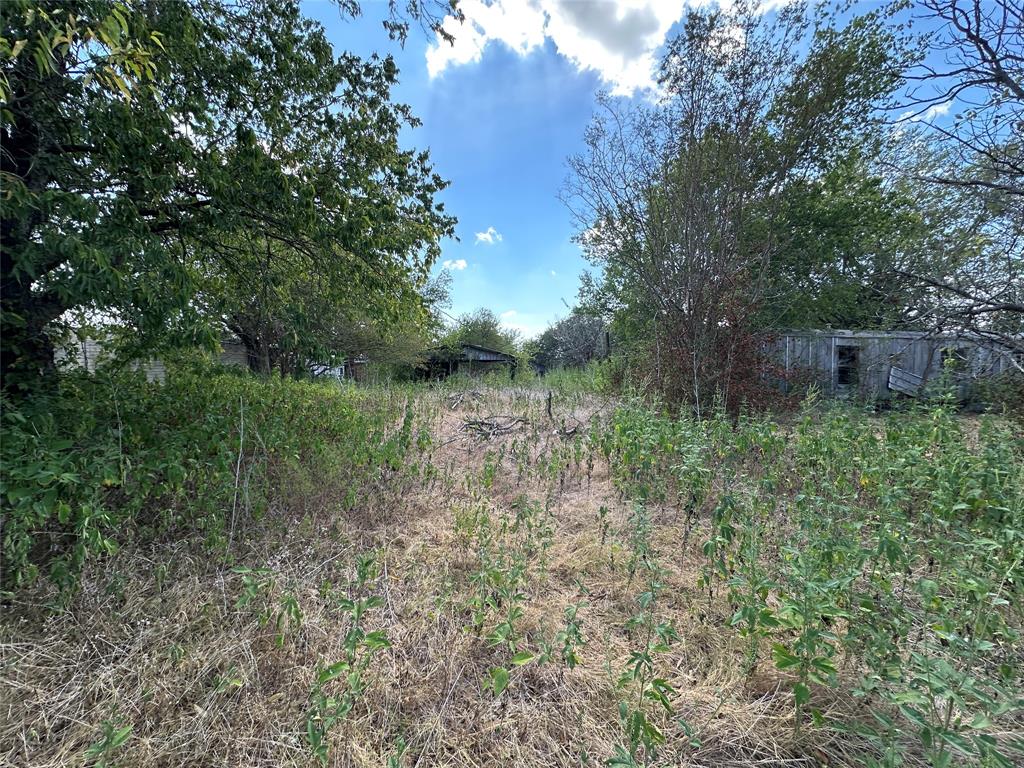 1194 County Road 151a - Photo 3
