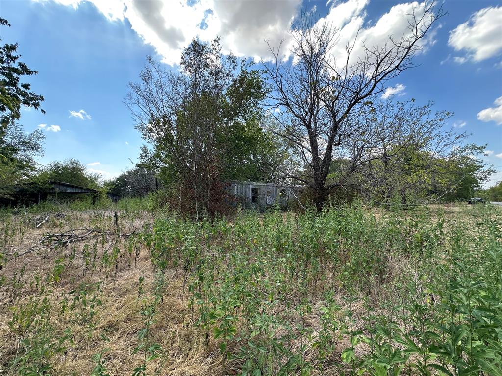1194 County Road 151a - Photo 4