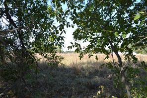 Lot 6 County Road 3410 - Photo 3