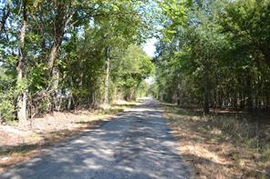 Lot 6 County Road 3410 - Photo 5
