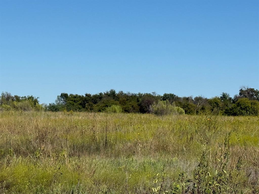204 Forest Lane - Photo 11
