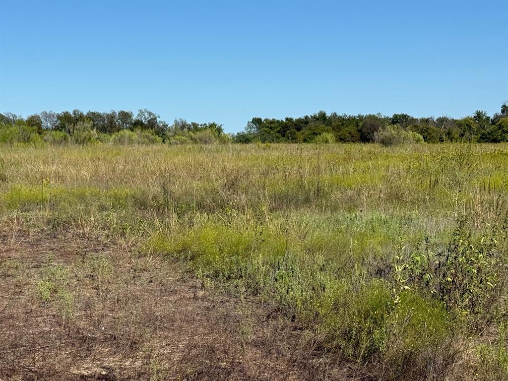 204 Forest Lane - Photo 12