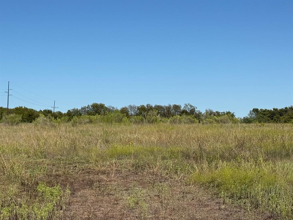 204 Forest Lane - Photo 13