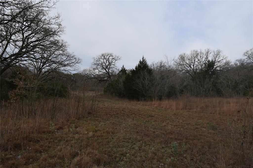 1110 Main - Photo 15