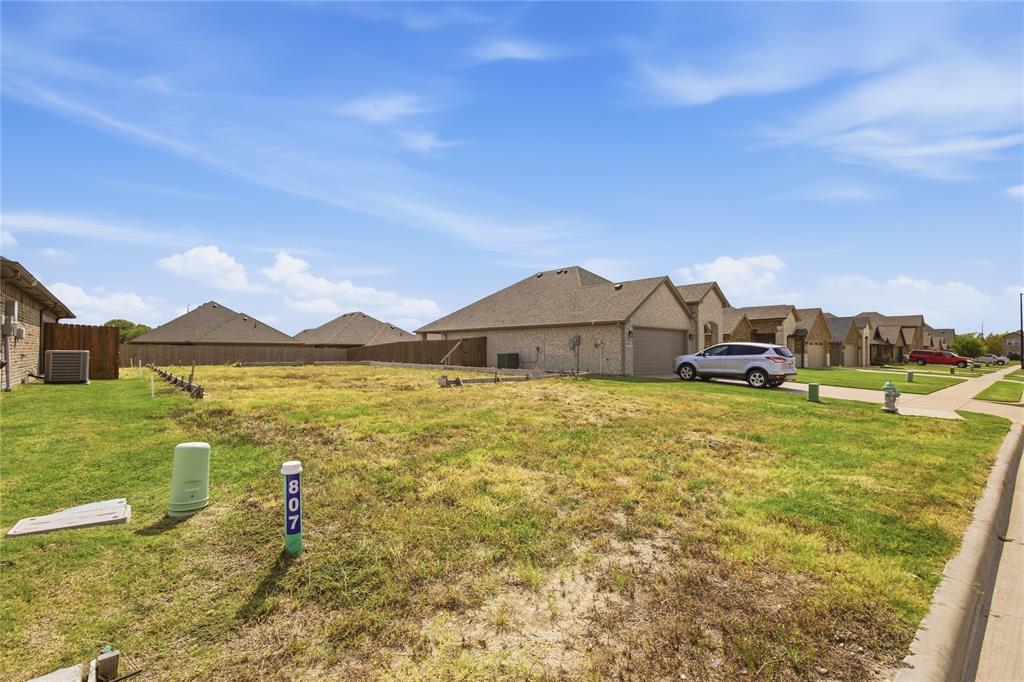 807 Moseley Lane - Photo 1