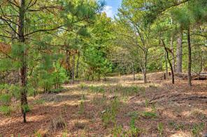 00 Off of County Road 448 - Photo 12