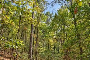 00 Off of County Road 448 - Photo 14